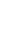 Secveil Logo
